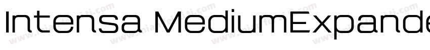 Intensa MediumExpanded字体转换